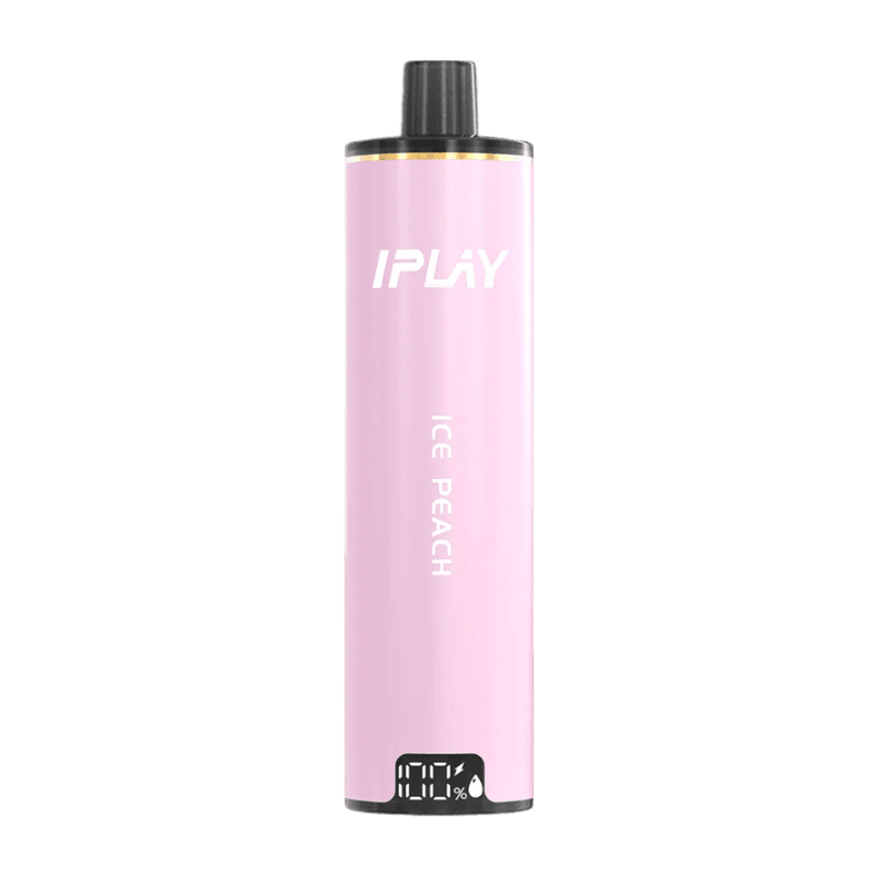 IPLAY CLOUD Pro 12000 by IPLAY — product image