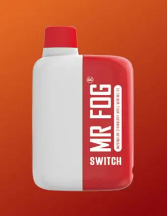 Mr Fog Switch 5500 by Mr Fog — product image